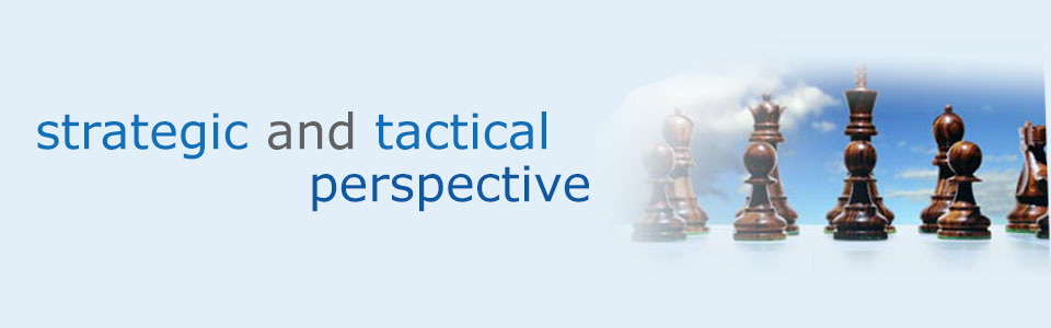strategic & practical perspective
